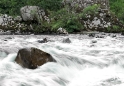 rapids Scotland 1